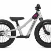 COMMENCAL RMNS 14 SILVER PUSH BIKE 1 COMMENCAL RMNS 14 SILVER PUSH BIKE -BIKE Soldes 2023 22RAMONES14SIPB 2000